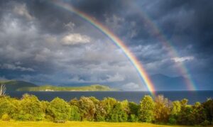 Read more about the article Celebrating Achievements and Learning from Setbacks