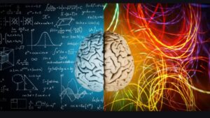 Read more about the article The Autistic Amygdala: When the Brain’s Alarm System Won’t Switch Off